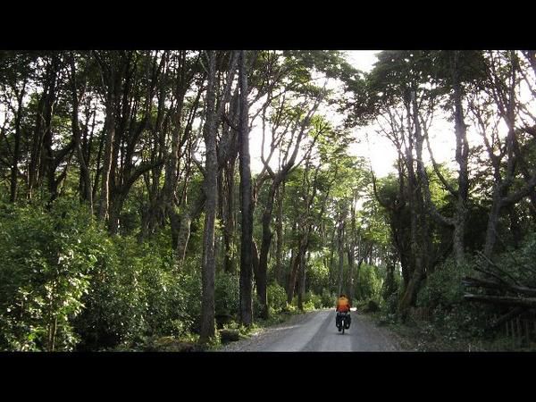 Sur la route... En Patagonie et Terre de Feu