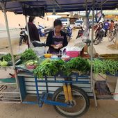 Vu au marché (23-22) - Noy et Gilbert en Thaïlande