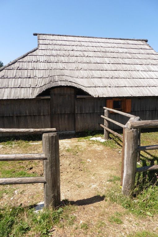 Velika Planina