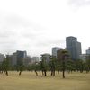 Premier jour a Tokyo entre cerisiers en fleur, tradition et modernisme...