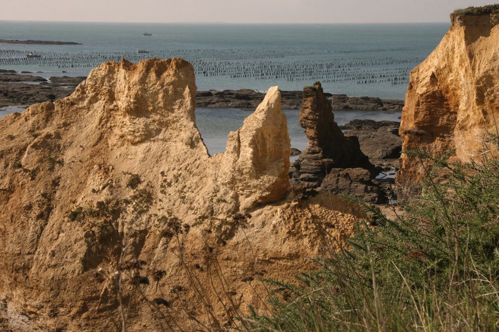 Les parcs à moules de bouchot de la Pointe du Bil