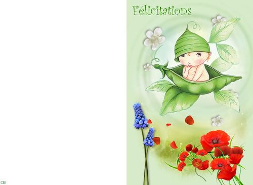 Felcitations