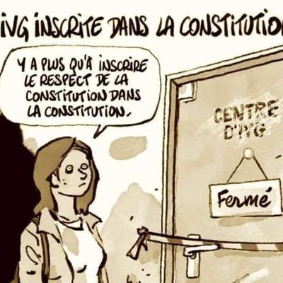 Ivg dans la constitution française. Une victoire