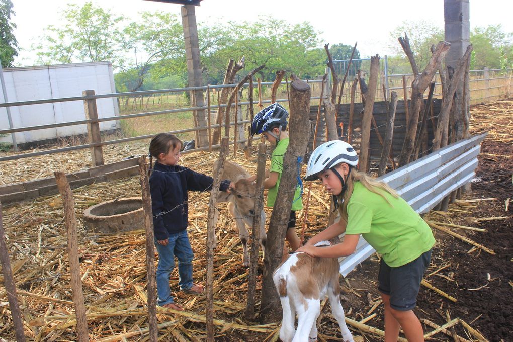 Album - Album-El-Salvador