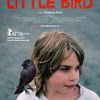 Little Bird, premier film visionné par les CE2,CM1 et CM2 dans le cadre de "Ecole et Cinéma"