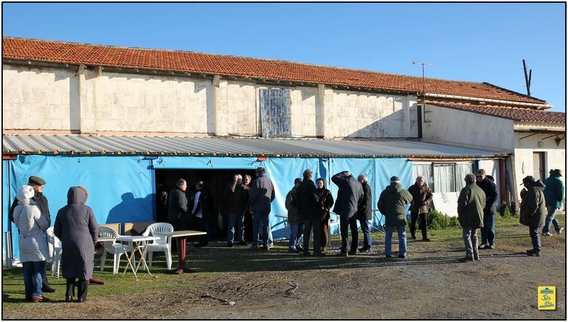 Dimanche 9 février 2014 - Déjeunerau préde La Muleta d'Arles à la Mande Raynaus domaine du Grand Radeau aux Saintes.