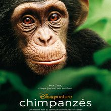 Chimpanzés story : reflet d’une société en état de crétinisation avancée