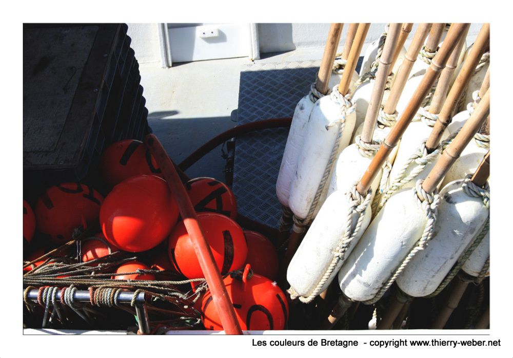 Les couleurs de Bretagne - Photos Thierry Weber - Guérande