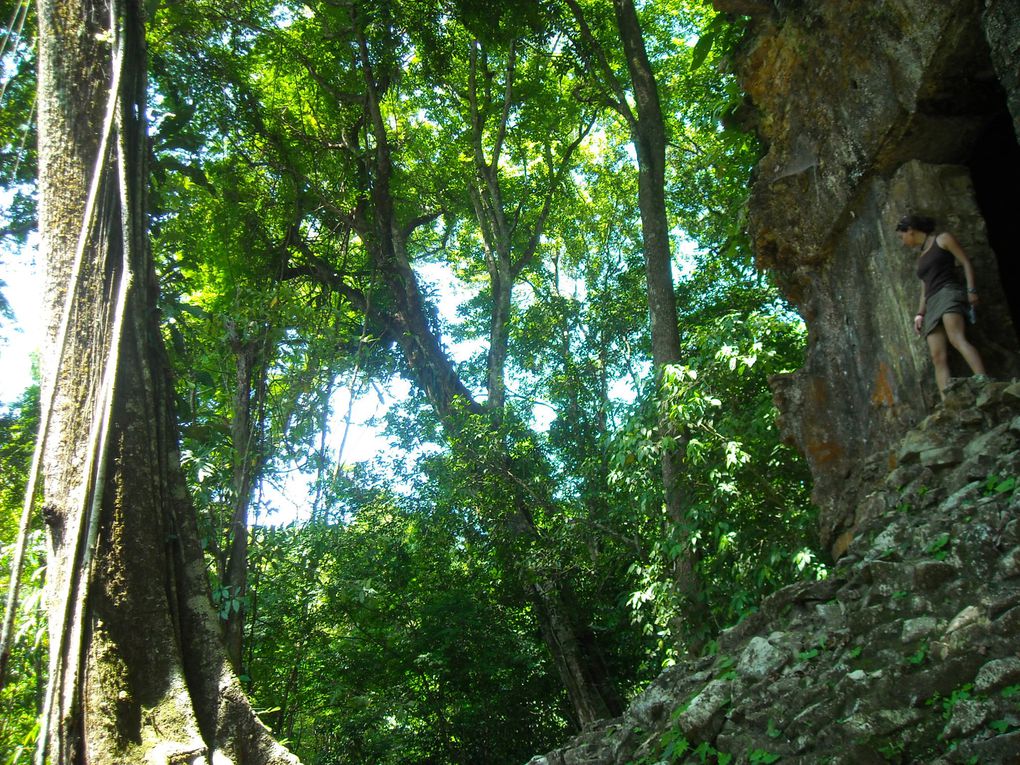 Album - 115- Entre-mexico-et-le-yucatan