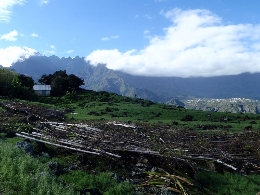 des petites tranches de vies, cette année, à La Réunion...