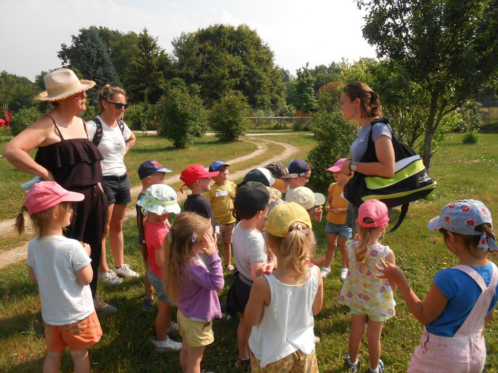 Sortie des maternelles/CP/CE1 aux Jardins de Brocéliande