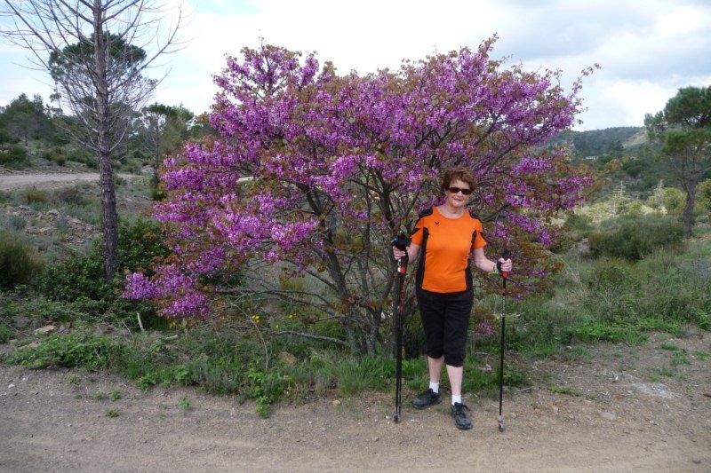 Semaine remise en forme à Fréjus, centre Azureva. Au programme, marche nordique, running, vtt...