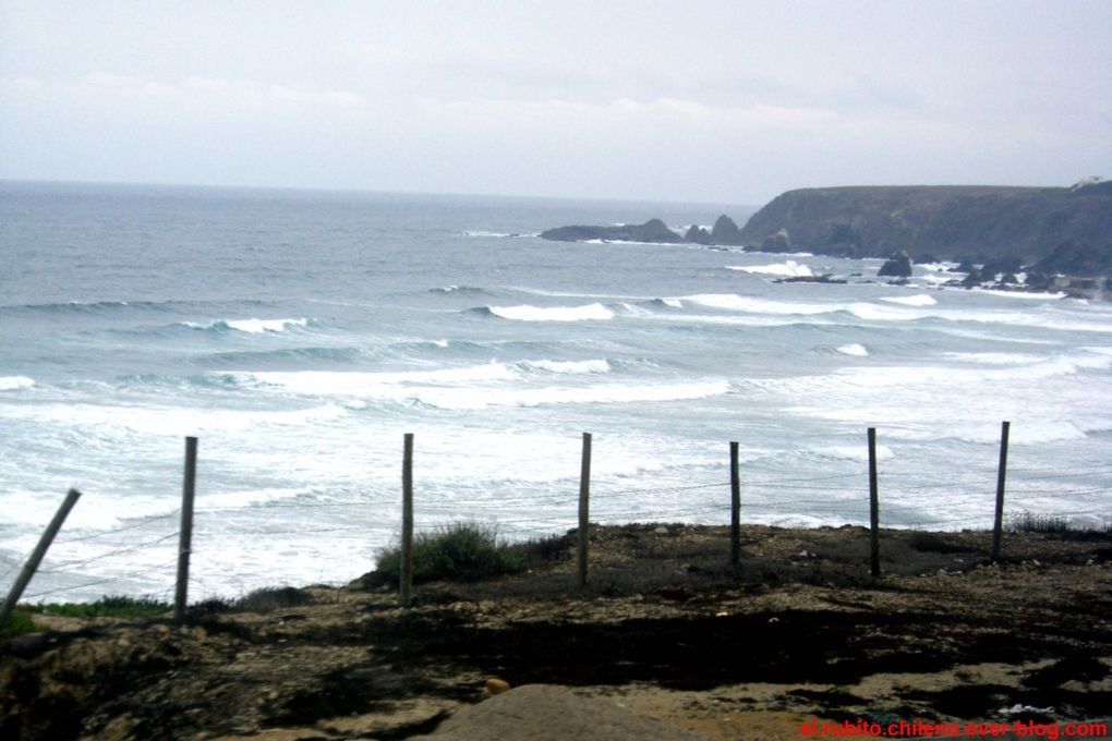 Le désert, la mer, les cactus, l'aridité, la chaleur, le froid ! Un mélange de tous les paysages possibles!