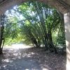 Jardin Rivière de Bordeaux