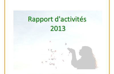 Rapport d'activités 2013