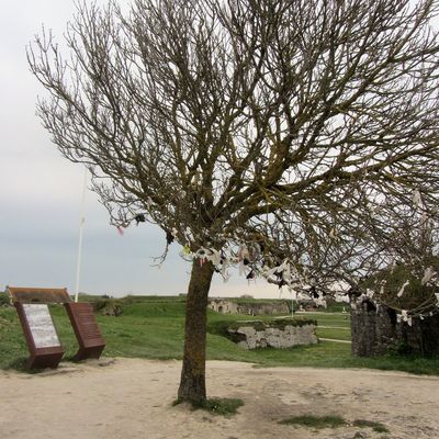 Tradition de mariage