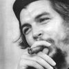Che Guevara - Sondage