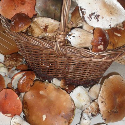 Un panier bien rempli ....