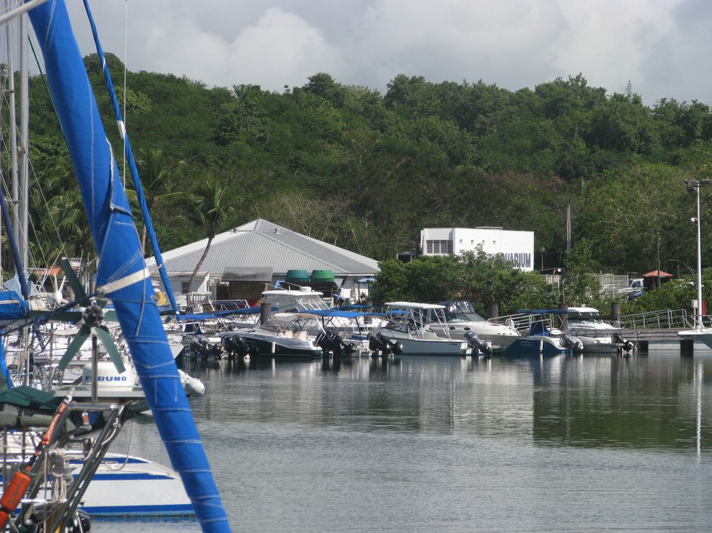 Pointe-a-Pitre, de la marina au centre ville, en passant pat les "cases"