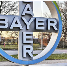 Bayer prévoit-il un grand coup libérateur – Monsanto fait-il faillite ?