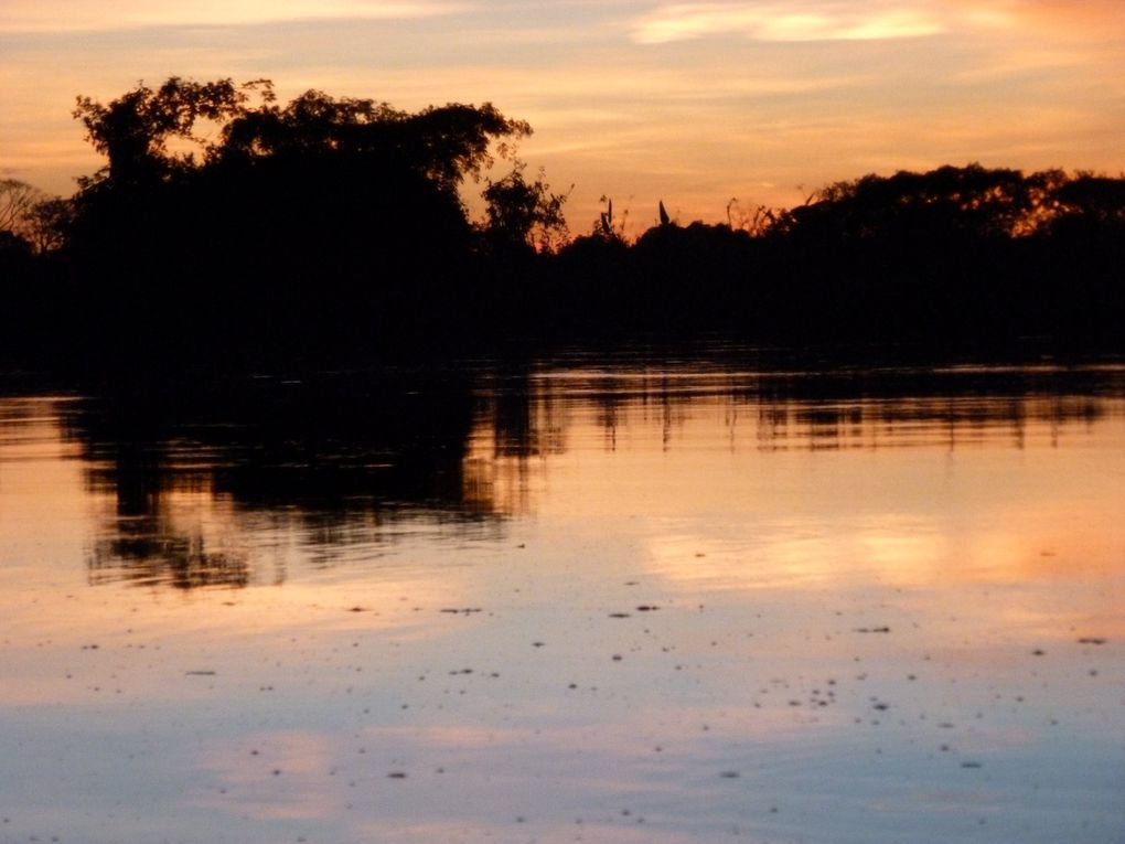 Découvrez avec cet album les multiples facettes de la Bolivie. Avec l'Amazonie, le désert de sels, ses lacs, on ne peut qu'être émerveillé.