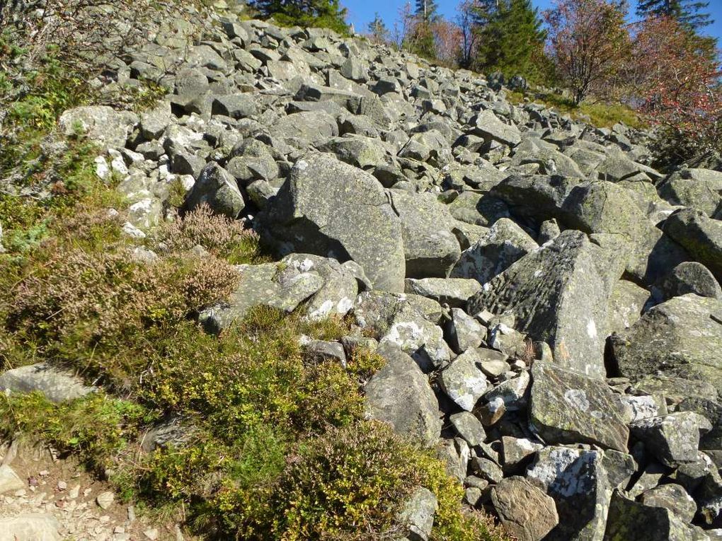 Le pierrier du Steinmauer, avec sa vue sur : le Hilsenfirst, le Langenfeldkopf et les Alpes suisses ...