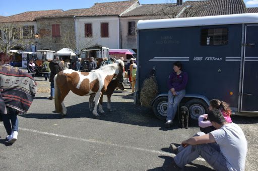 Geaune Vide Grenier et Brocante 27 Mars 2016 ///album et droits privés patrice duboÿ ///