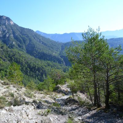 VILLARS SUR VAR - SAINT JEAN DE LA TOUR