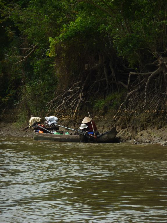 Mekong delta. 
1st day : crossing the delta, to arrive at Can Tho before evening.
2nd day : continuing visit of the delta : floating market of Can Tho, noodle factory, garden, crocodile farm, temple.
3rd day : towards Cambodia via the Mekong delta