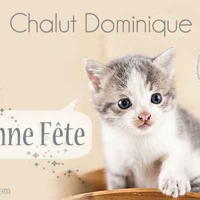 BONNE FETE  Dominique