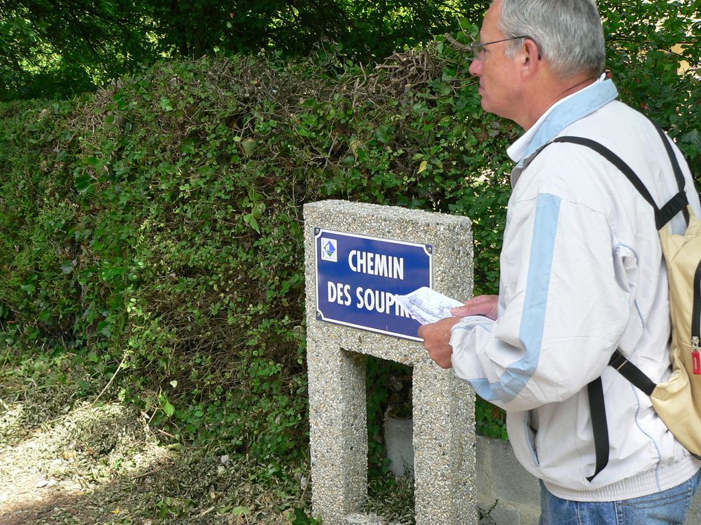 Marche "Le Mont Joli Bois" à partir de Criel sur Mer