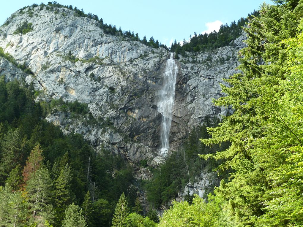 Album - Plateau-des-Glieres