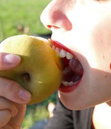 Pomme d'automne