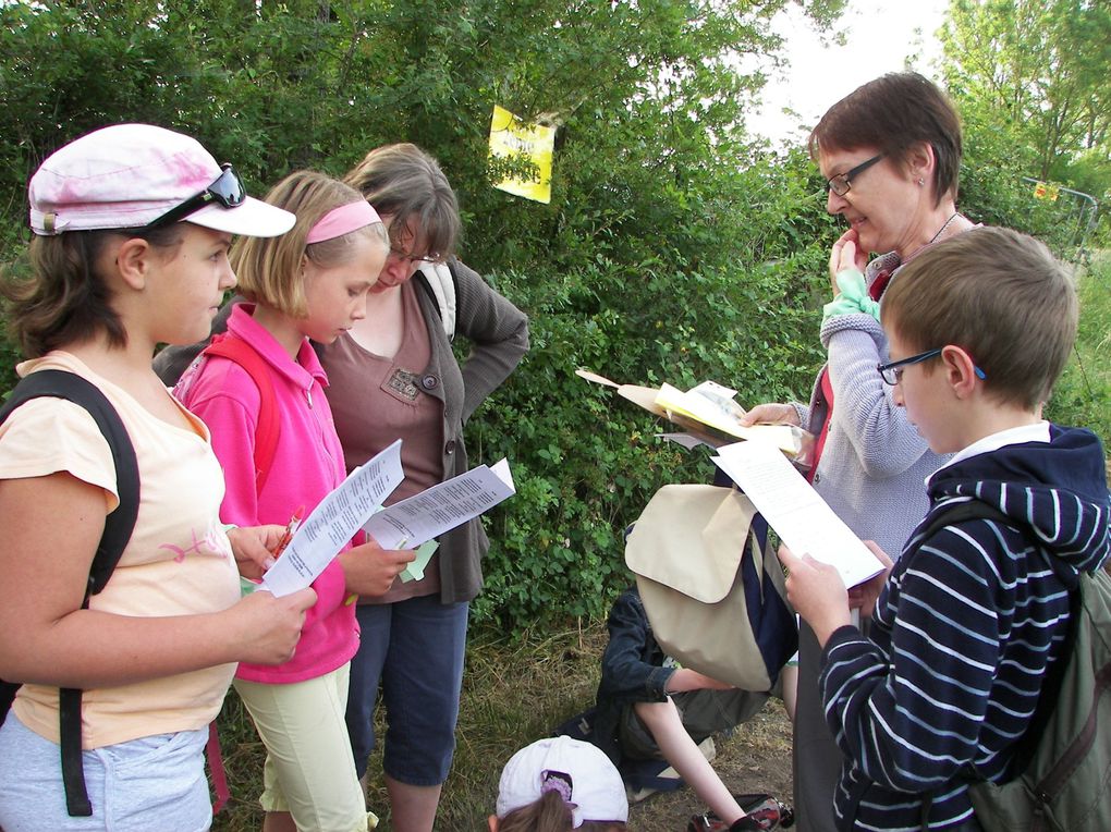 Album - Taize-mai-2011