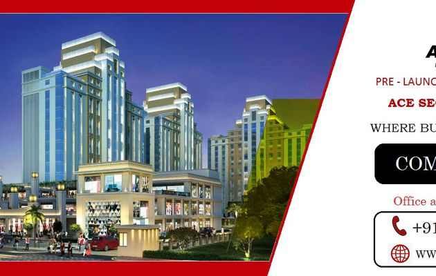 ACE Commercial Sector 132 Noida - Where Appreciation Meets Recreation