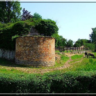 Diaporama château des MINIMES à Bommiers