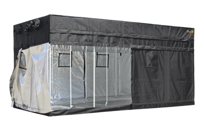 What You Need to Know about Setting up an Indoor Grow Tent