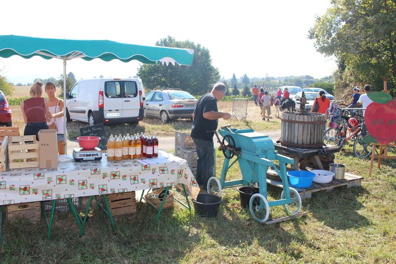 Album fête de l'âne 2016