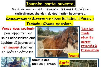 L'association Equi-Vivre organise "portes ouvertes"