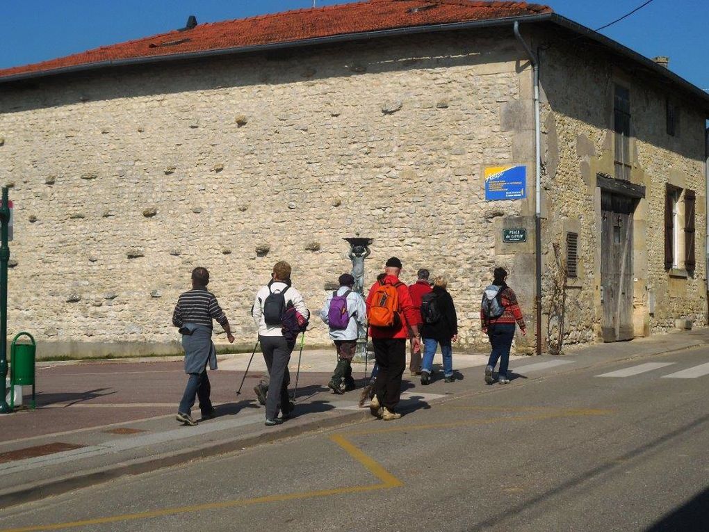 Rando Santé® : à partir de Behonne, vers Massonges