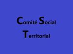 Comités sociaux territoriaux et des formations spécialisées en matière de santé, de sécurité et de conditions de travail : organisation, composition, attributions et fonctionnement.