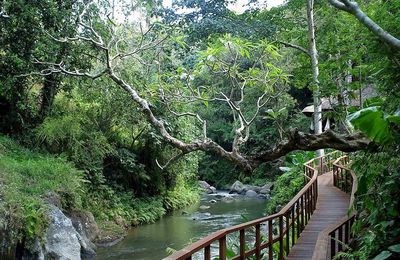 Petite Histoire au Petit Paradis Avec Circuit Bali