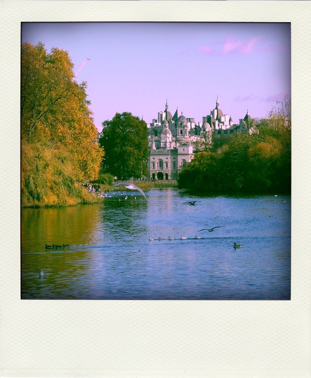 Album - LONDON-POLAROID