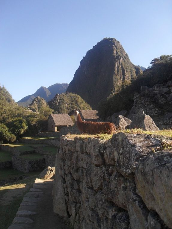 Cusco... cite des incas... Visite de la ville, vol... et bien sur le mchu Pichu!!!  Magique!!!