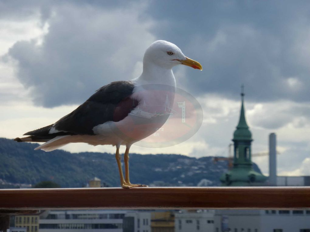 Croisière à bord de l'Horizon du 17 au 24 août 2014