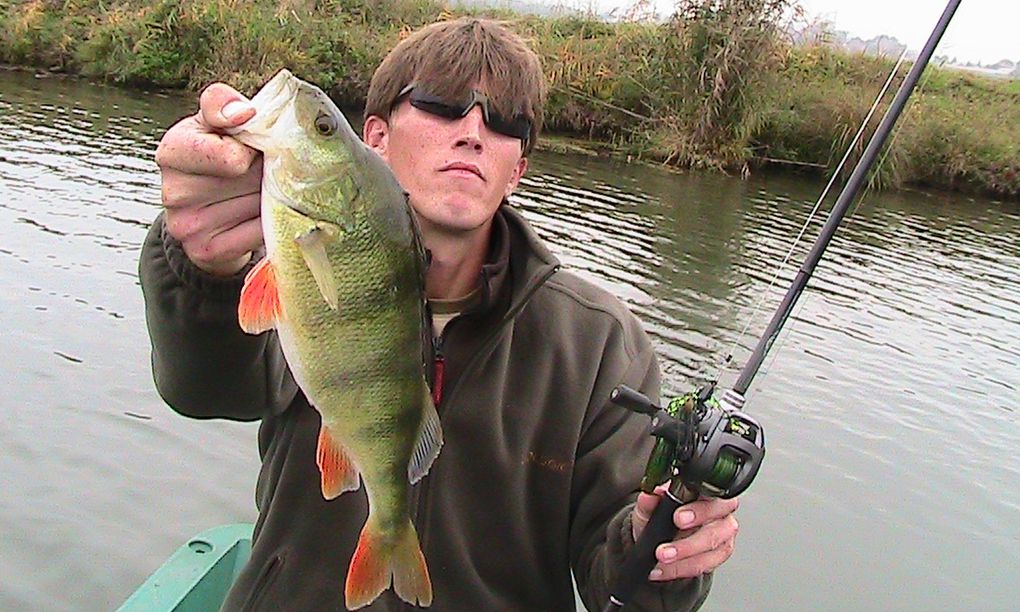 Quelques belles perches, mais manque de gros poisson par manque de protection... Pas de photo de notre record (49cm).