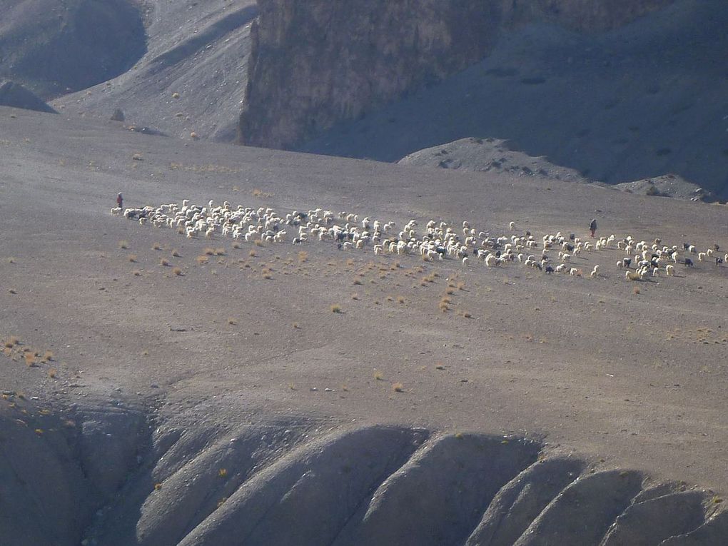 Rencontrés sur les chemins