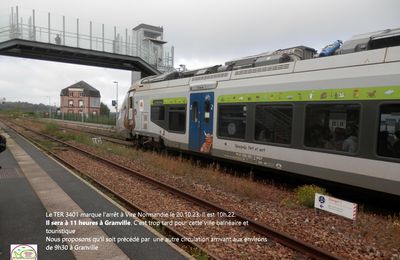 POUR L'AMELIORATION DE LA DESSERTE FERROVIAIRE PARIS-GRANVILLE AU PROFIT DU SUD NORMANDIE - ACTION D'INFORMATION ET DE PETITION