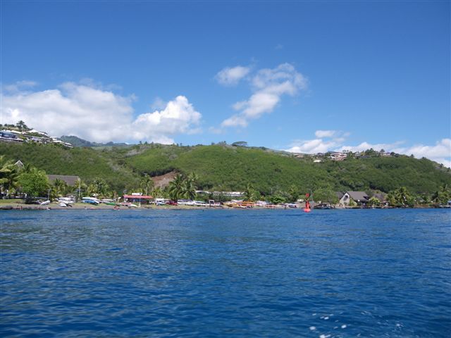 Un dimanche ensoleillé passé en compagnie de Fabien, Sophie, Linda, Stéphane et Salma ... à la rencontre des baleines.