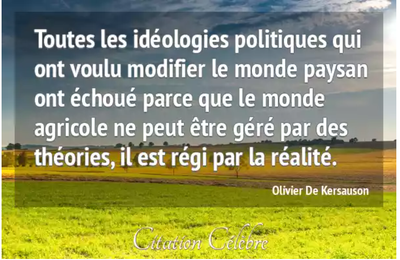 Réduction de l'usage des pesticides et résultats économiques : une thèse, deux lectures !